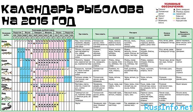 Соль-илецк из перми тур выходного дня