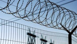 Будет ли амнистия в 2019 в России: последние новости изображения Будет ли амнистия в 2019 в России: последние новости изоражения