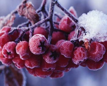 сколько дней в феврале 2016 года, календарь