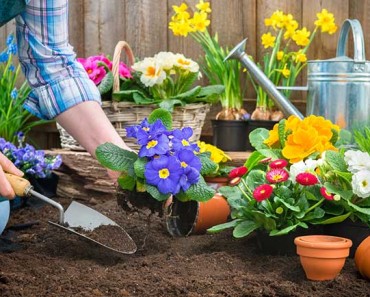 посевной календарь для Украины на 2016 год распечатать