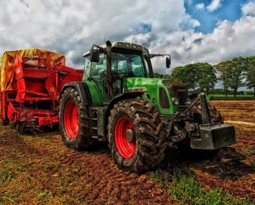посевной лунный календарь огородника и садовода на январь