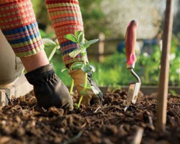 посевной календарь для Подмосковья на 2020 год