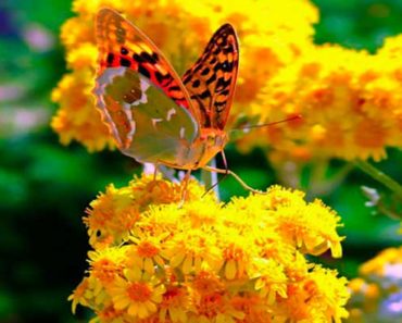 каким же будет июнь 2020 года