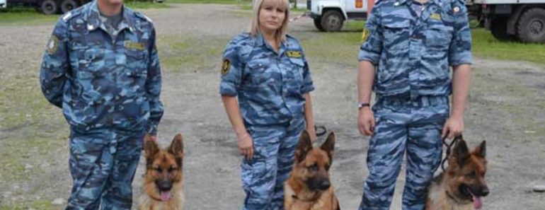 повышение зарплаты ФСИН в 2017 году в России