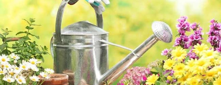 таблица лунного посевного календаря на 2019 год