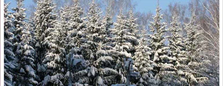 прогноз на зиму 2018–2019 в Сибири