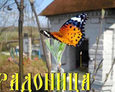 прилетела душа умерших