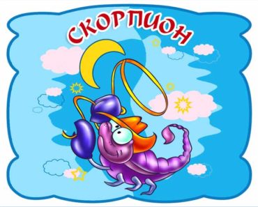 знак зодиака скорпион