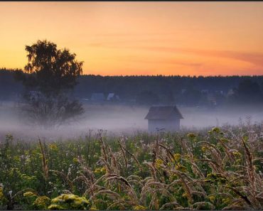 Июль - это самая прекрасная и знойная пора летнего сезона