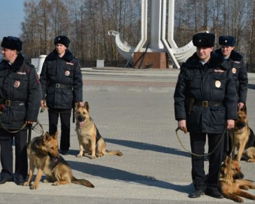 сотрудники МВД