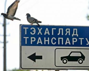 новые правила техосмотра с 1 января 2018 года в Беларуси