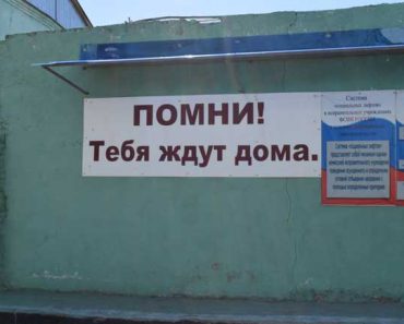 понятие - амнистия