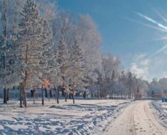 Солнечная зима в Казахстане