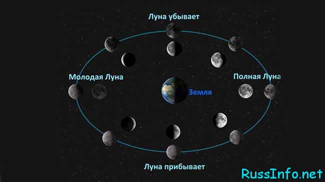 Фазы Луны относительно Земли